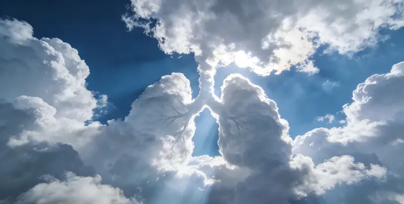 沧州肺癌靶向120基因检测（组织）图片1