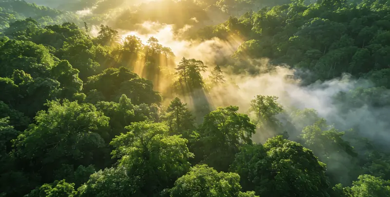 沧州肺癌12基因ctDNA突变检测(血液）图片1