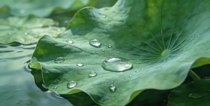 乳腺癌21基因mRNA表达分析图4